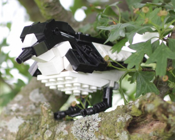 British Birds - Uccelli costruiti con i Lego