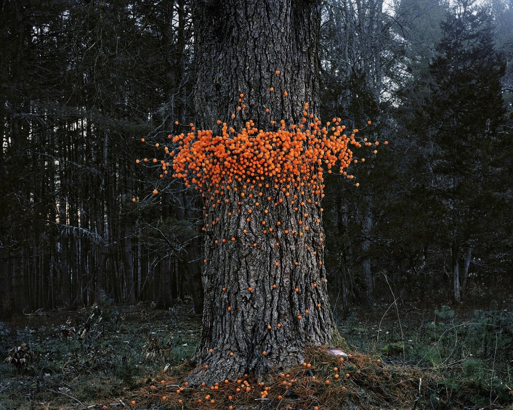  Thomas Jackson - Emergent Behavior - Sciami volanti di oggetti quotidiani | Collater.al