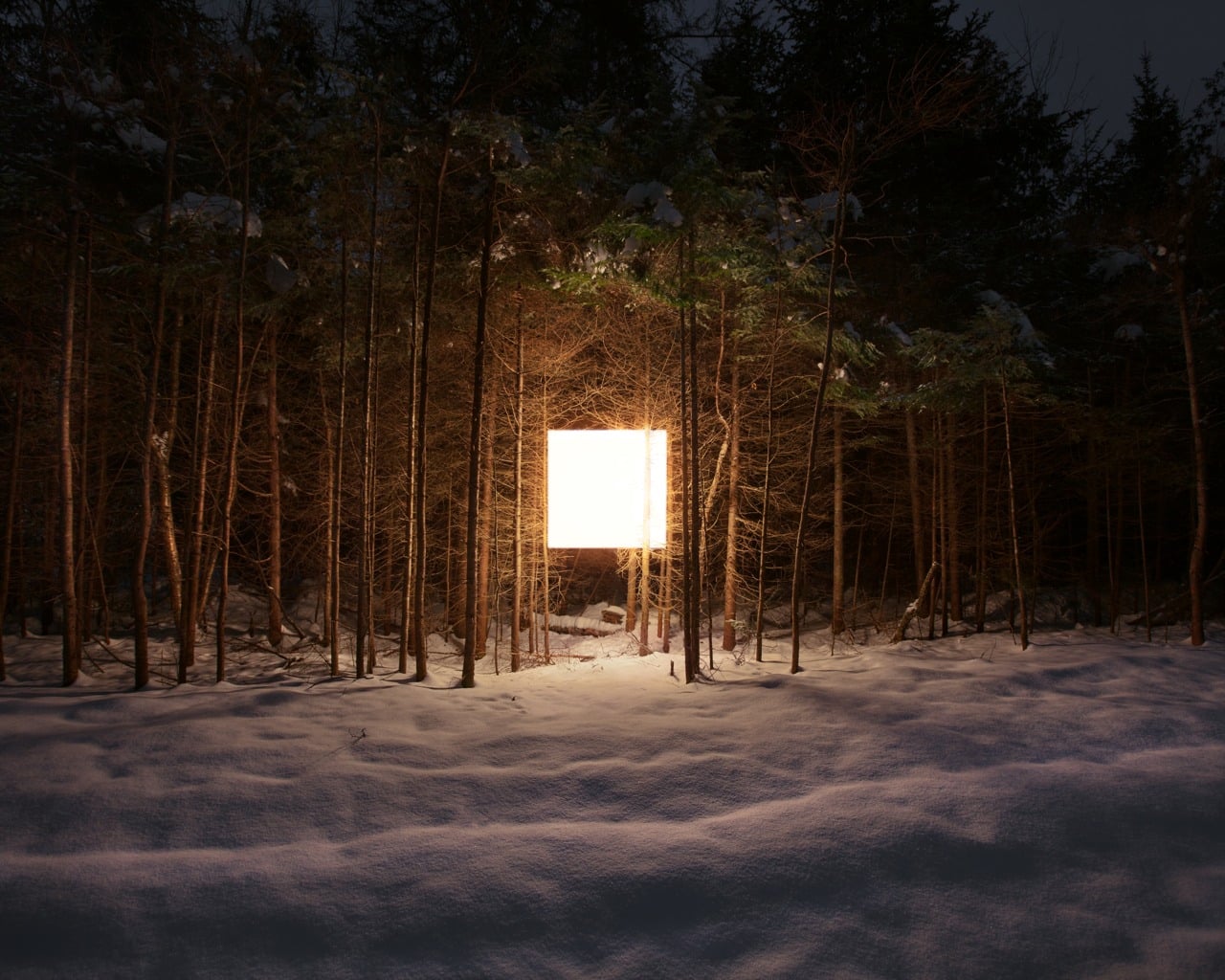 Benoit Paillé - Alternative Landscapes