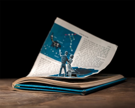Thomas Allen - Beautiful Evidence -  Opere realizzate con illustrazioni di libri