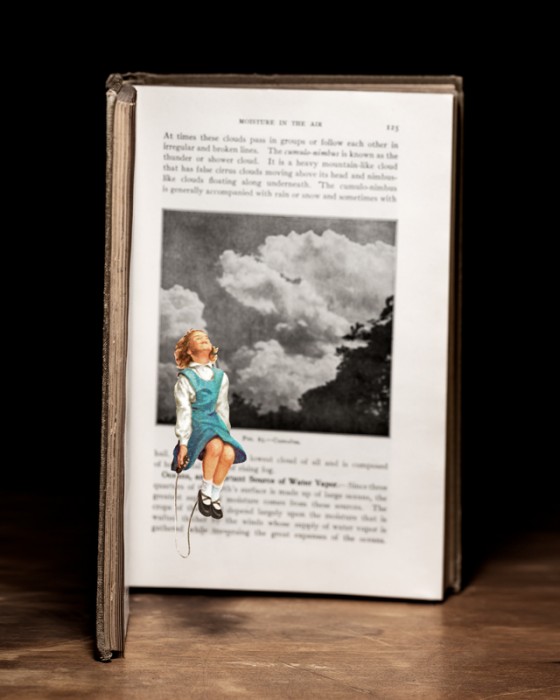 Thomas Allen - Beautiful Evidence -  Opere realizzate con illustrazioni di libri