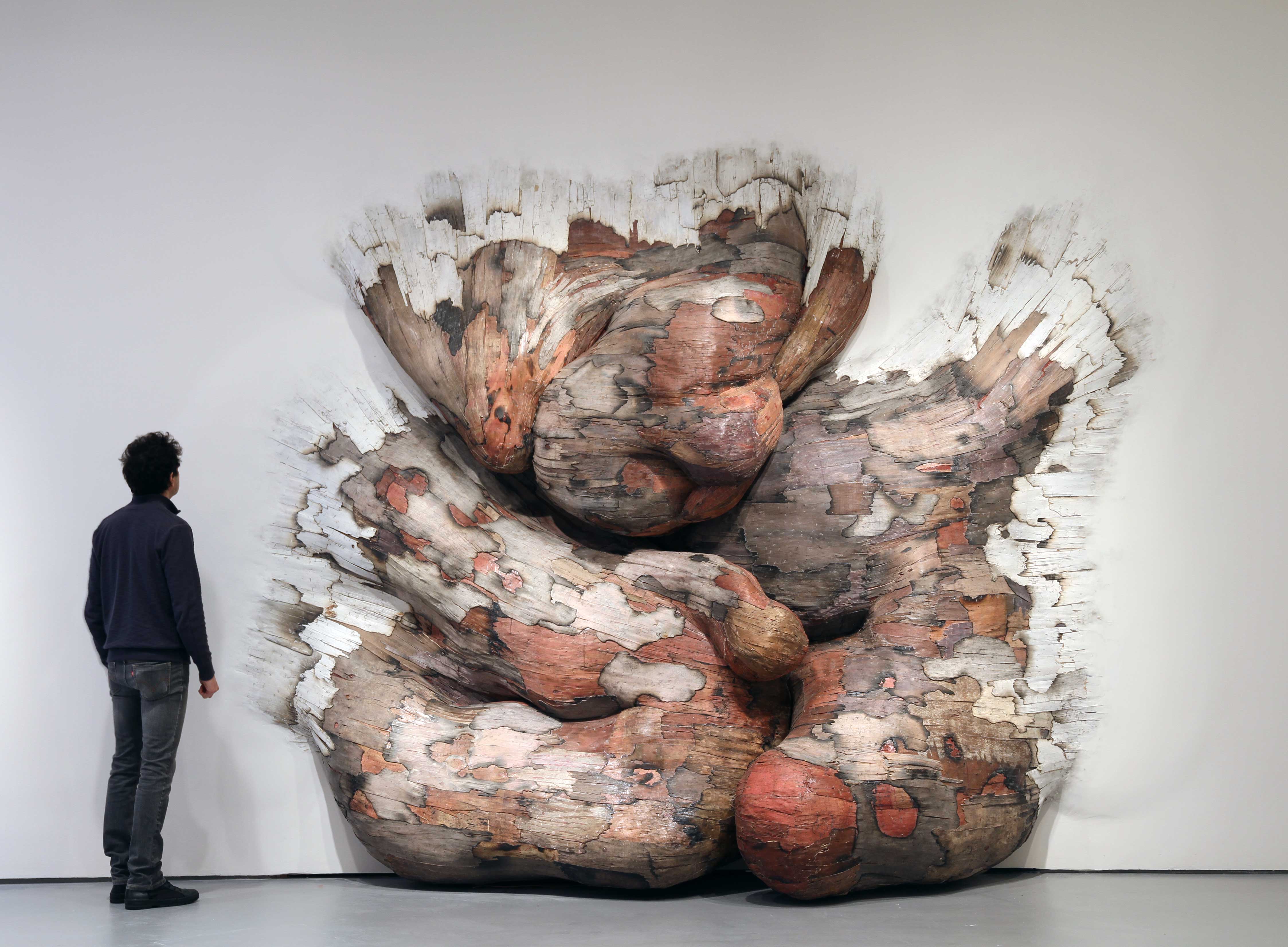 Henrique Oliveira - Installazioni tridimensionali in legno | Collater.al