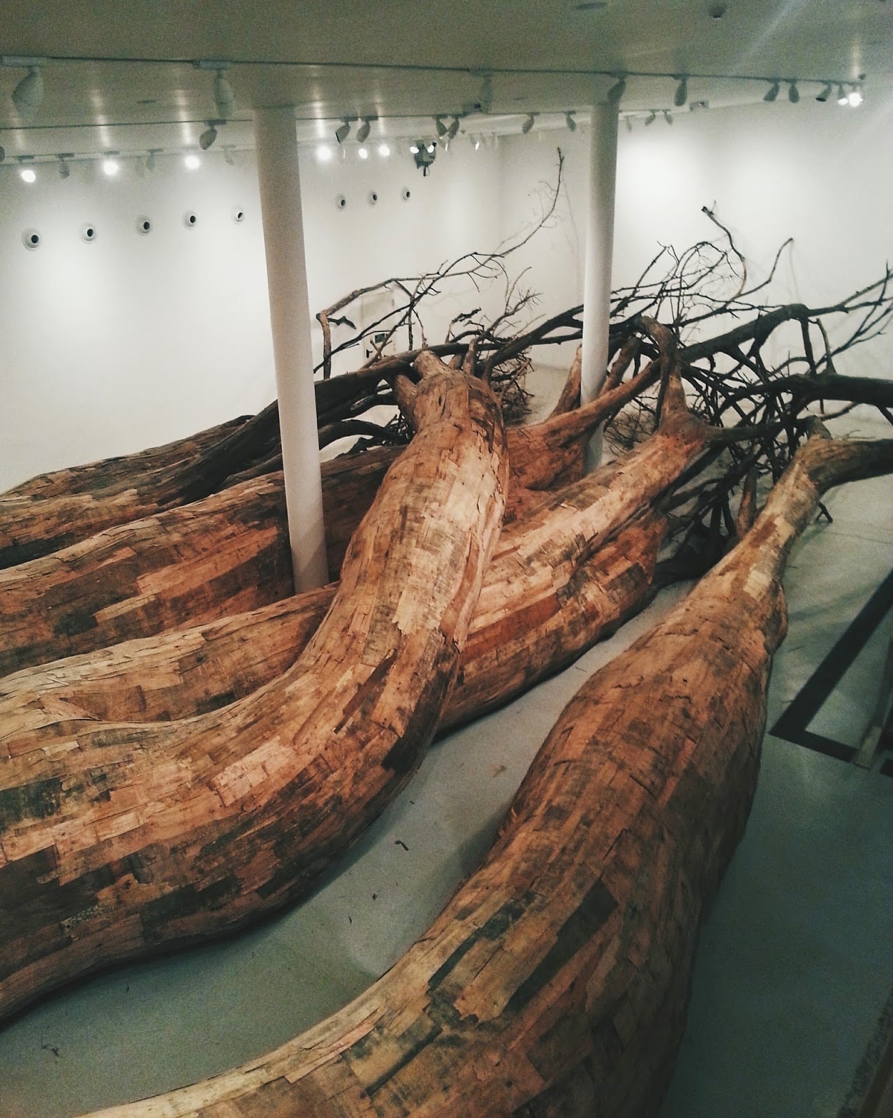 Henrique Oliveira - Installazioni tridimensionali in legno | Collater.al
