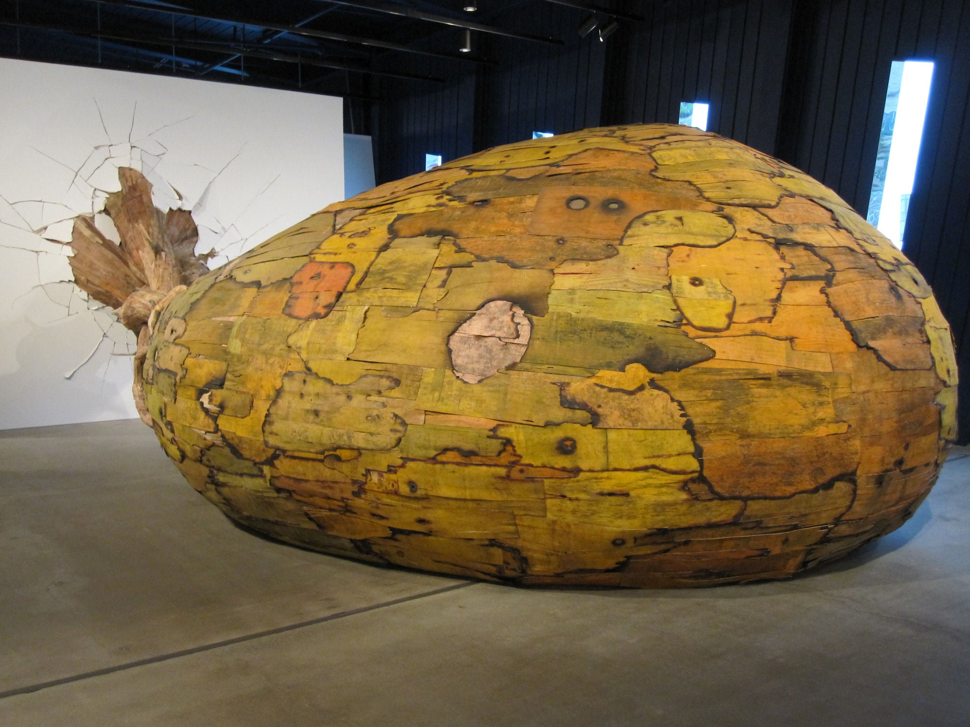 Henrique Oliveira - Installazioni tridimensionali in legno | Collater.al