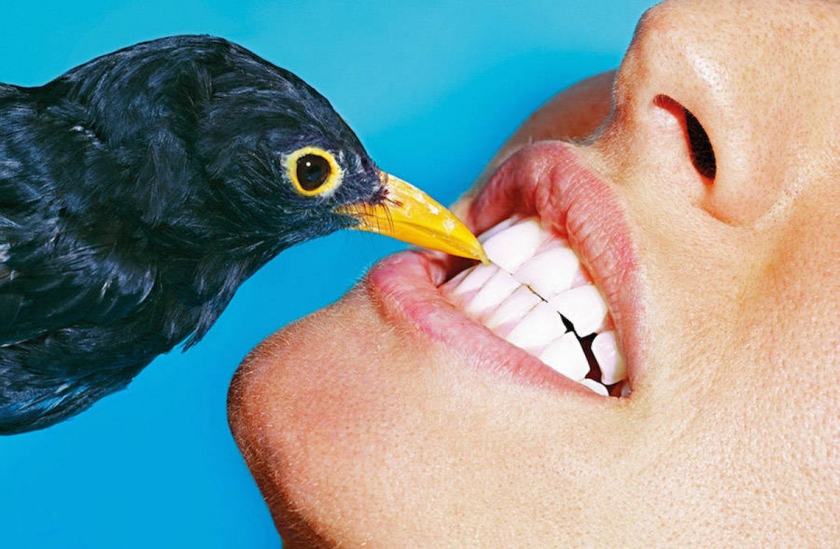 Toilet Paper - Maurizio Cattelan e Pierpaolo Ferrari