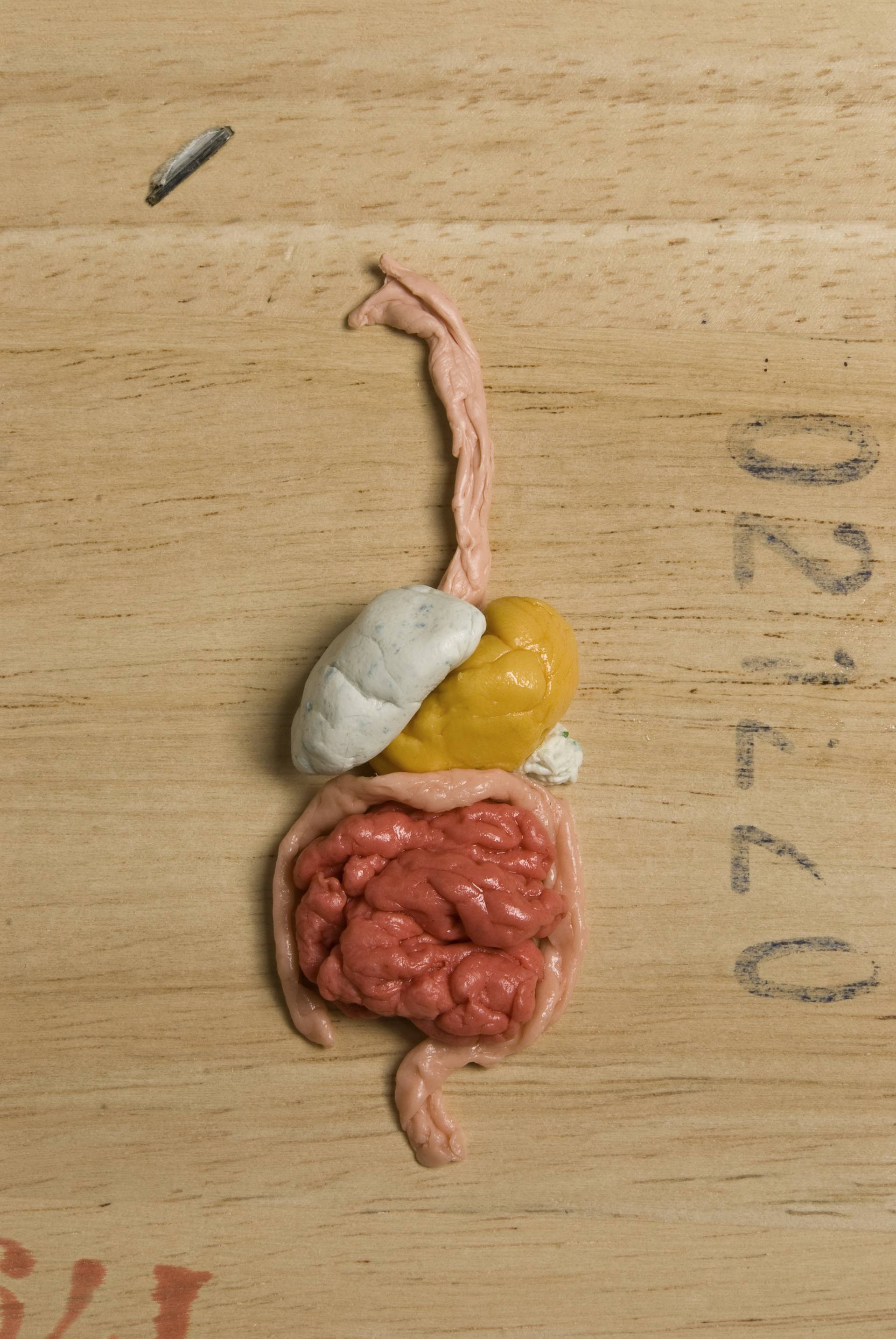 Le opere concettuali di Kevin Van Aelst | Collater.al