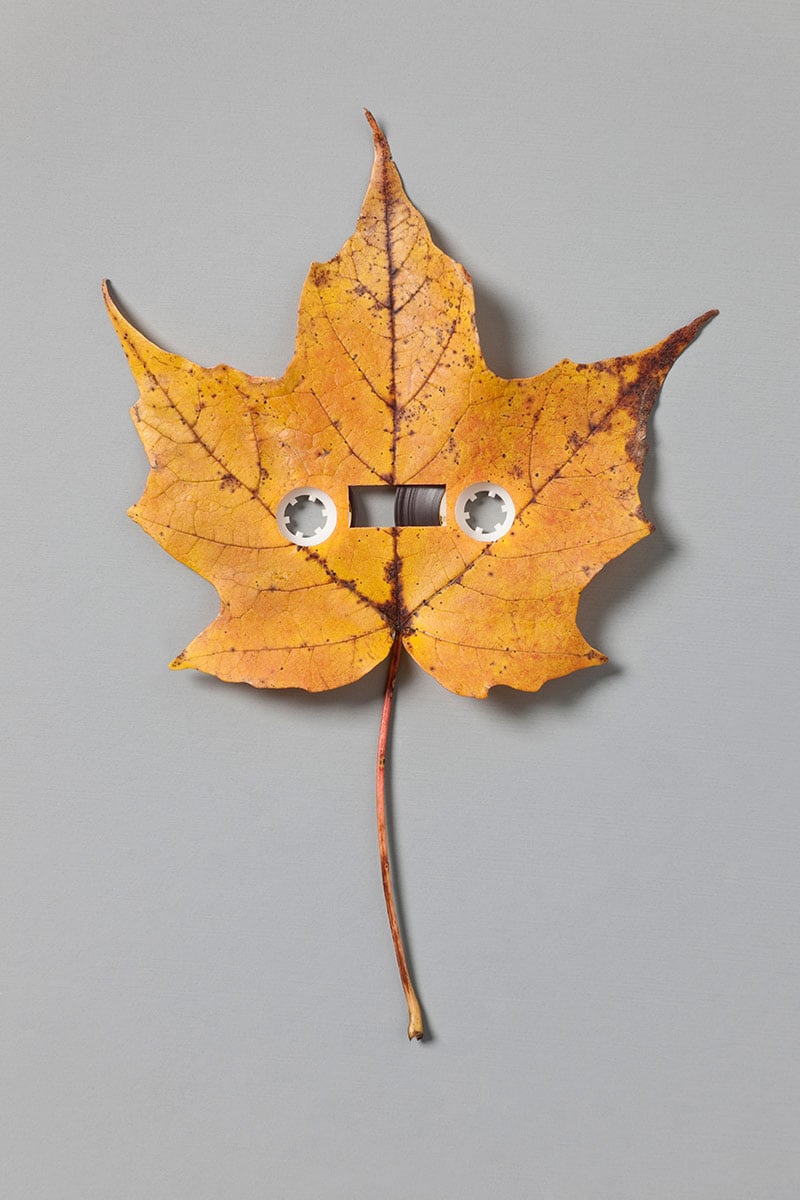 Le opere concettuali di Kevin Van Aelst | Collater.al