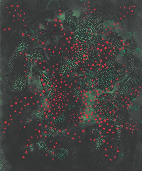 Yoyoi Kusama - Le avventure di Alice nel paese delle meraviglie - Orecchio Acerbo Editore Yoyoi Kusama - Le avventure di Alice nel paese delle meraviglie - Orecchio Acerbo Editore