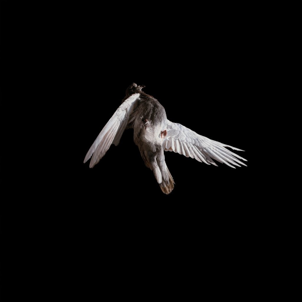 La serie Misere/re di Jeremy Geddes