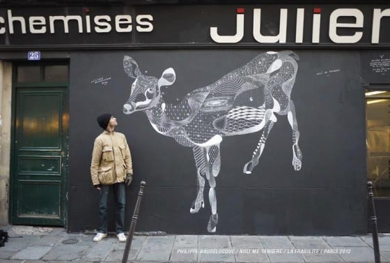 Philippe Baudelocque - Animali disegnati a gessetti a Parigi