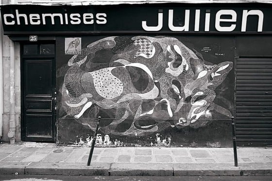 Philippe Baudelocque - Animali disegnati a gessetti a Parigi