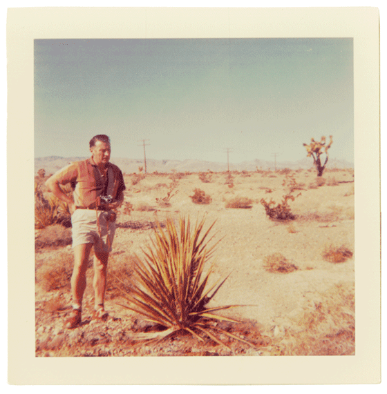 Cary Vander - TGIMGIF - Polaroid in movimento Cary Vander - TGIMGIF - Polaroid in movimento