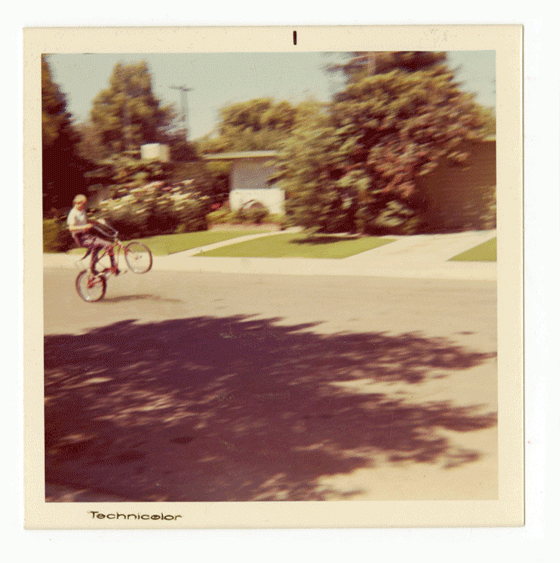 Cary Vander - TGIMGIF - Polaroid in movimento Cary Vander - TGIMGIF - Polaroid in movimento