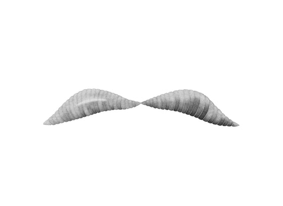 Marcin Schleifer - graphic artist from Poland Marcin Schleifer - graphic artist from Poland