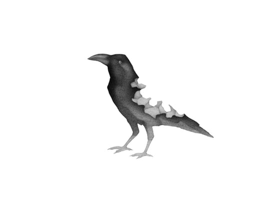 Marcin Schleifer - graphic artist from Poland Marcin Schleifer - graphic artist from Poland