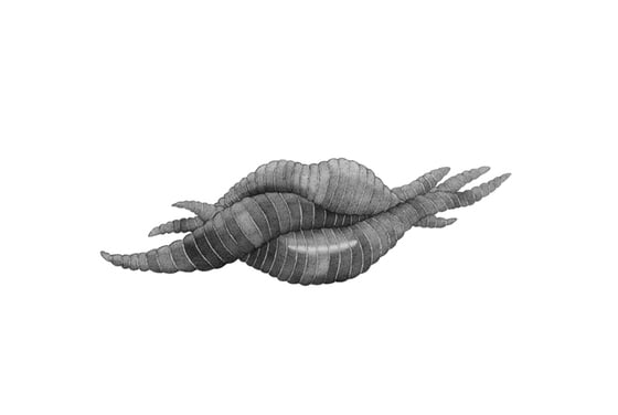 Marcin Schleifer - graphic artist from Poland Marcin Schleifer - graphic artist from Poland