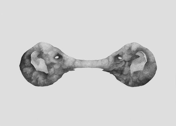 Marcin Schleifer - graphic artist from Poland Marcin Schleifer - graphic artist from Poland