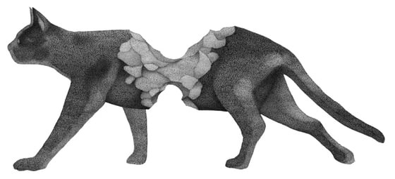 Marcin Schleifer - graphic artist from Poland