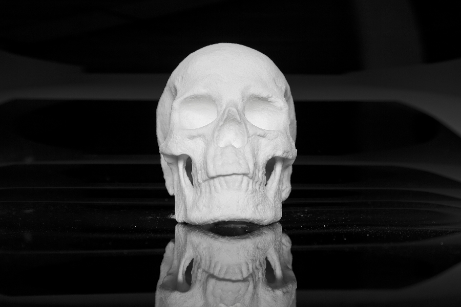 Diddo - Ecce Animal - Scultura di un teschio realizzata con cocaina