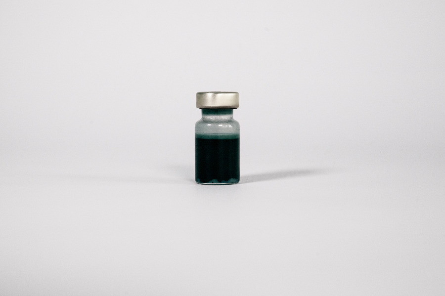 Diddo  The Cure for Greed - Riflessione sull'avidità umana