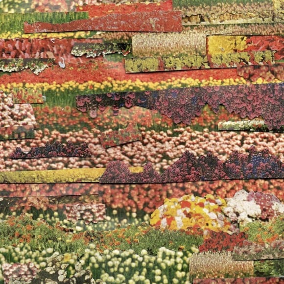Ben Lewis Giles - Collage floreali