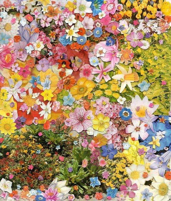 Ben Lewis Giles - Collage floreali