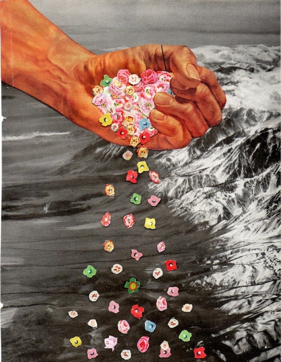 Ben Lewis Giles - Collage floreali