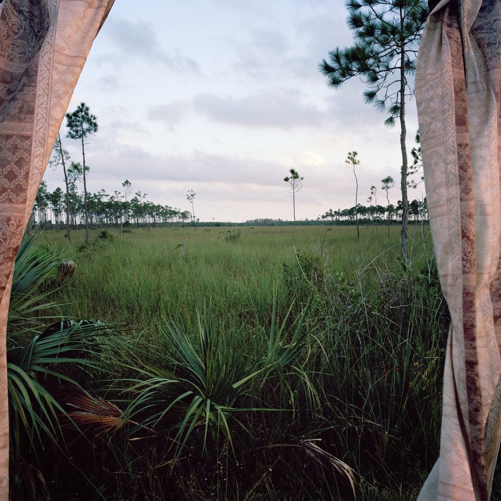 Rebecca Reeve - Marjory's world