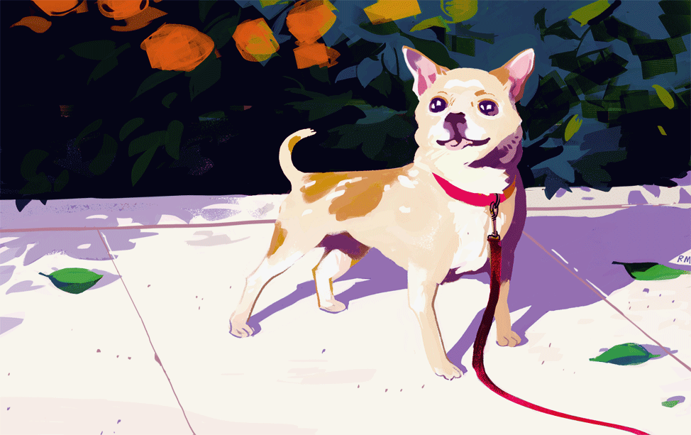 Rebecca Mock - Illustrazioni e GIF Illustration