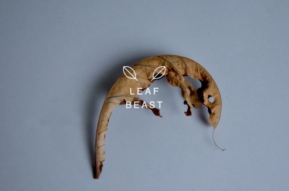 Baku Maeda - Leaf Beast