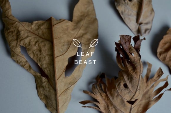 Baku Maeda - Leaf Beast