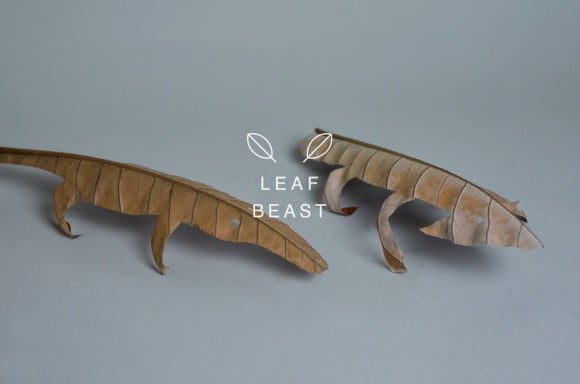 Baku Maeda - Leaf Beast