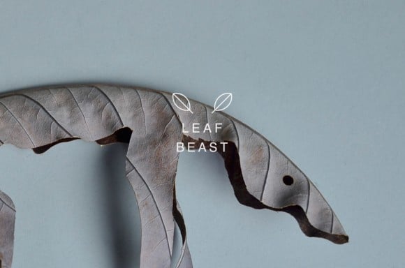 Baku Maeda - Leaf Beast