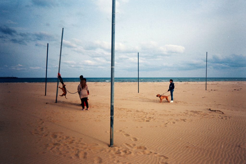 STD | Traccia - Photo Collective