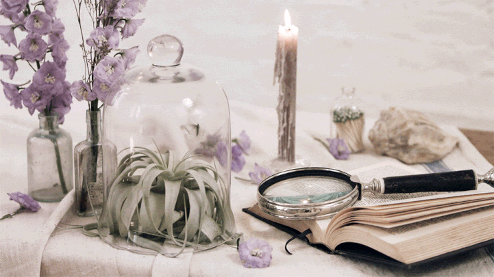 Le GIF romantiche di Jamie Beck e Kevin Burg
