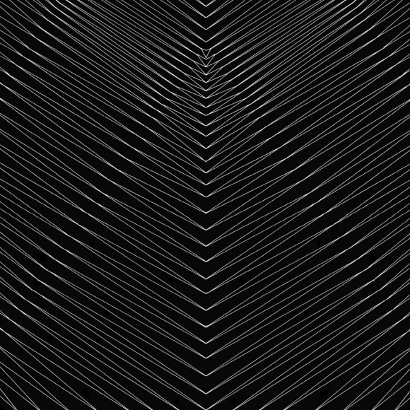 Le minimali illustrazioni optical di Noemi Schipfer | Collater.al 