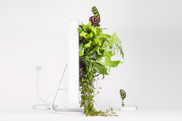 Plant your Mac! - Prodotti Apple trasformati in vasi e fioriere | Collater.al