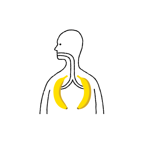 Bananas - Le gif deliranti di Julian Frost | Collater.al