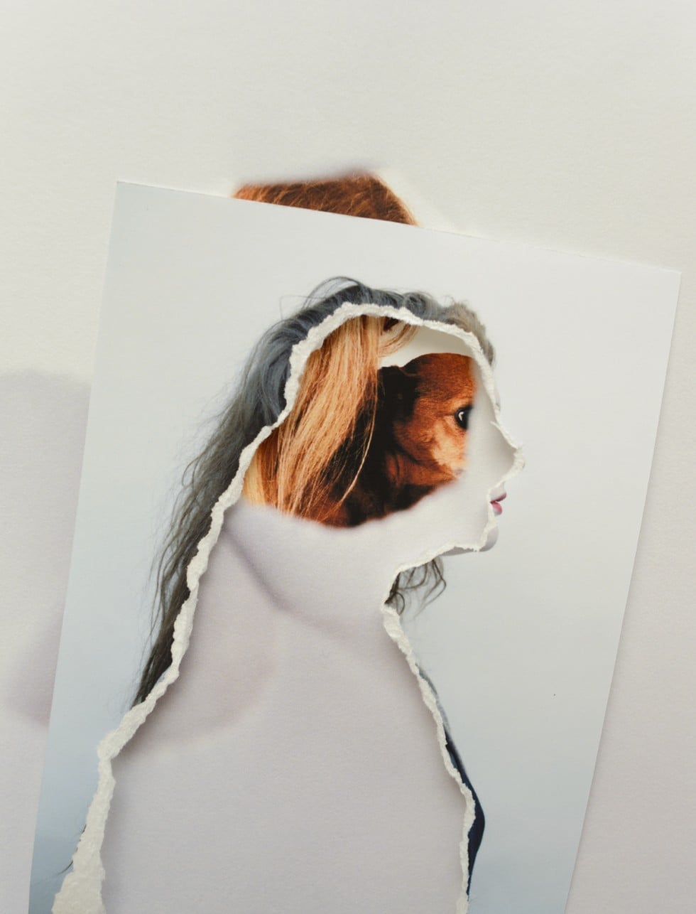 Lethe - I collage decomposti di Sylwia Kowalczyk | Collater.al