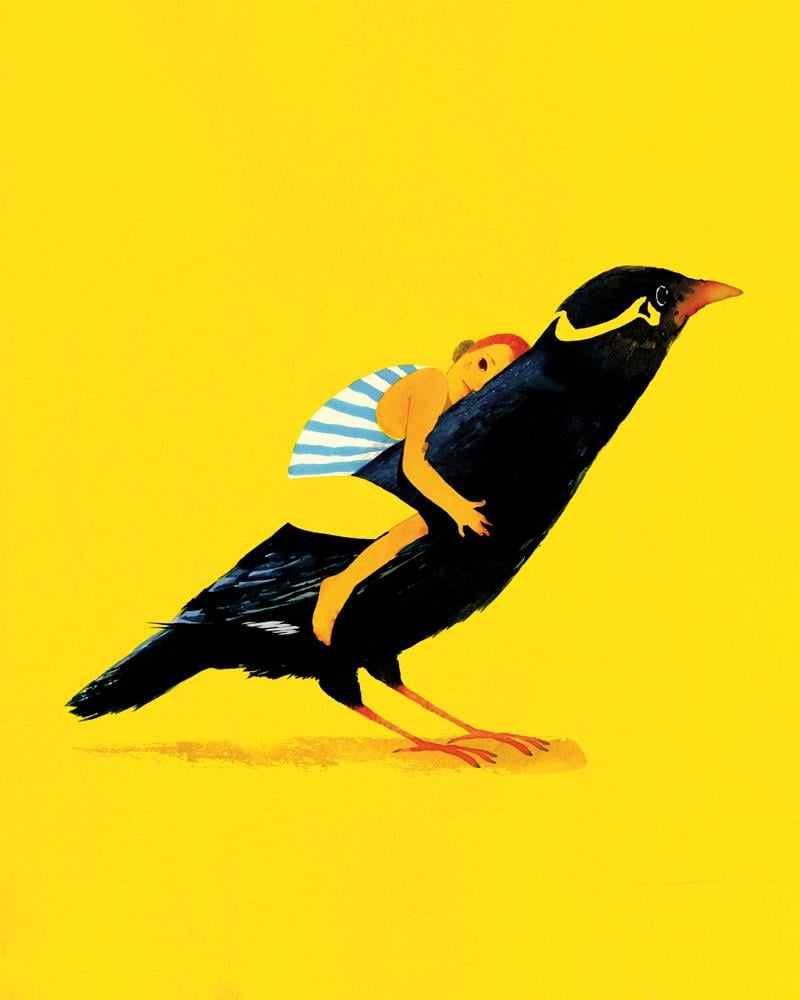 MAGNIFICO Illustration Agency - Foli