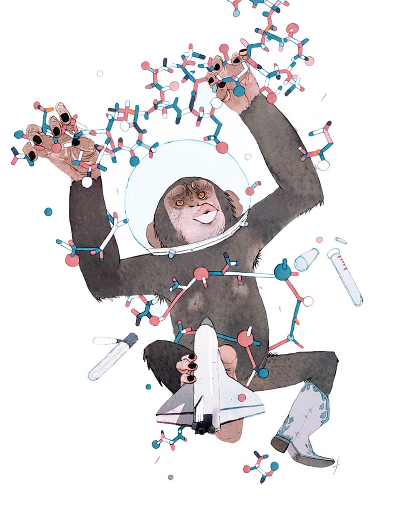 MAGNIFICO Illustration Agency - Foli