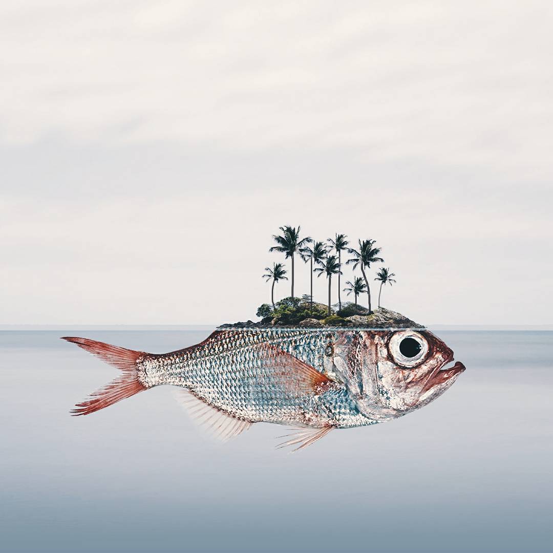 I fotomontaggi onirici di Luisa Azevedo | Collater.al