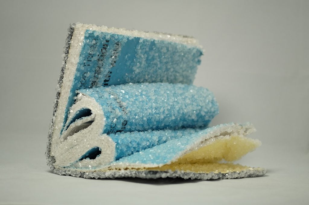Crystallized Books - I libri cristallizzati di Alexis Arnold | Collater.al