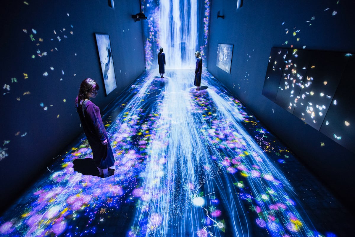 Transcending Boundaries, the immersive installation of TeamLab ...