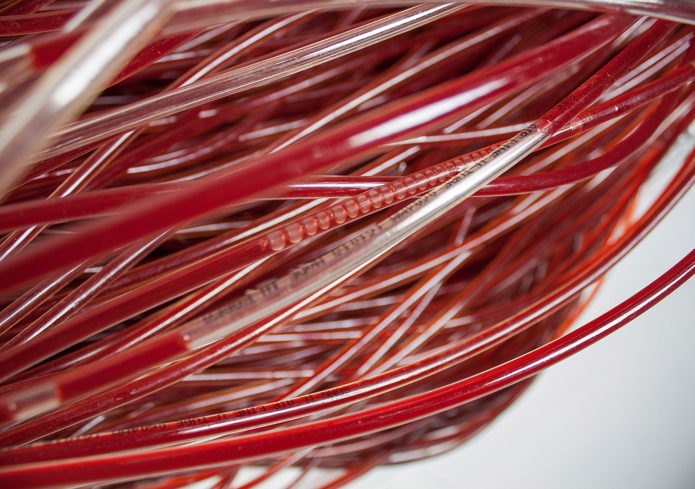 Red series, la sedia fatta di sangue di Hyun-Gi Kim | Collater.al