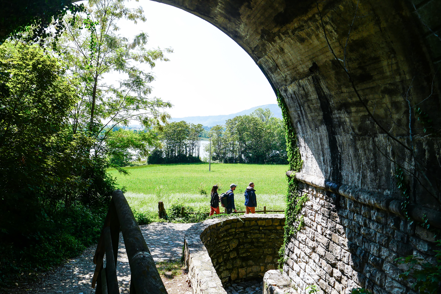 The Wander Playlist - Il Lago d'Iseo e le Torbiere del Sebino | Collater.al