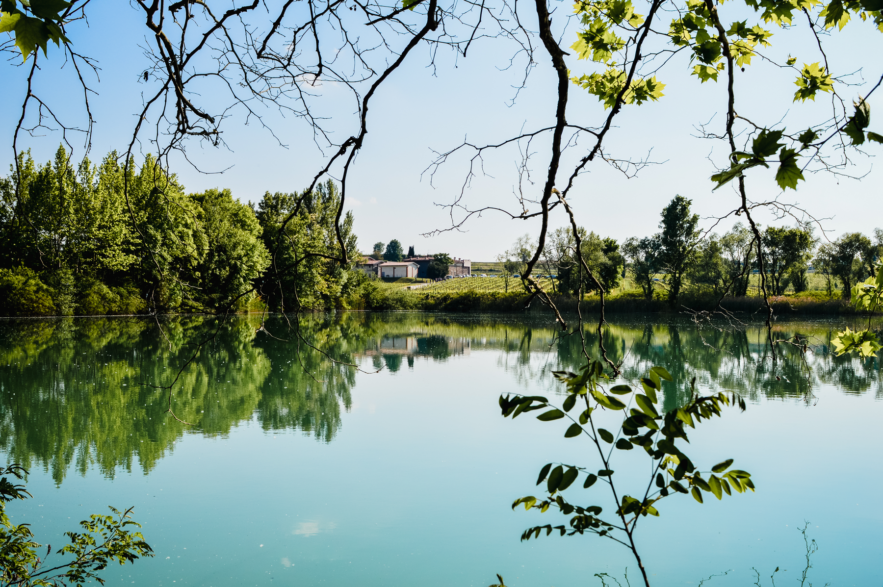 The Wander Playlist - Il Lago d'Iseo e le Torbiere del Sebino | Collater.al