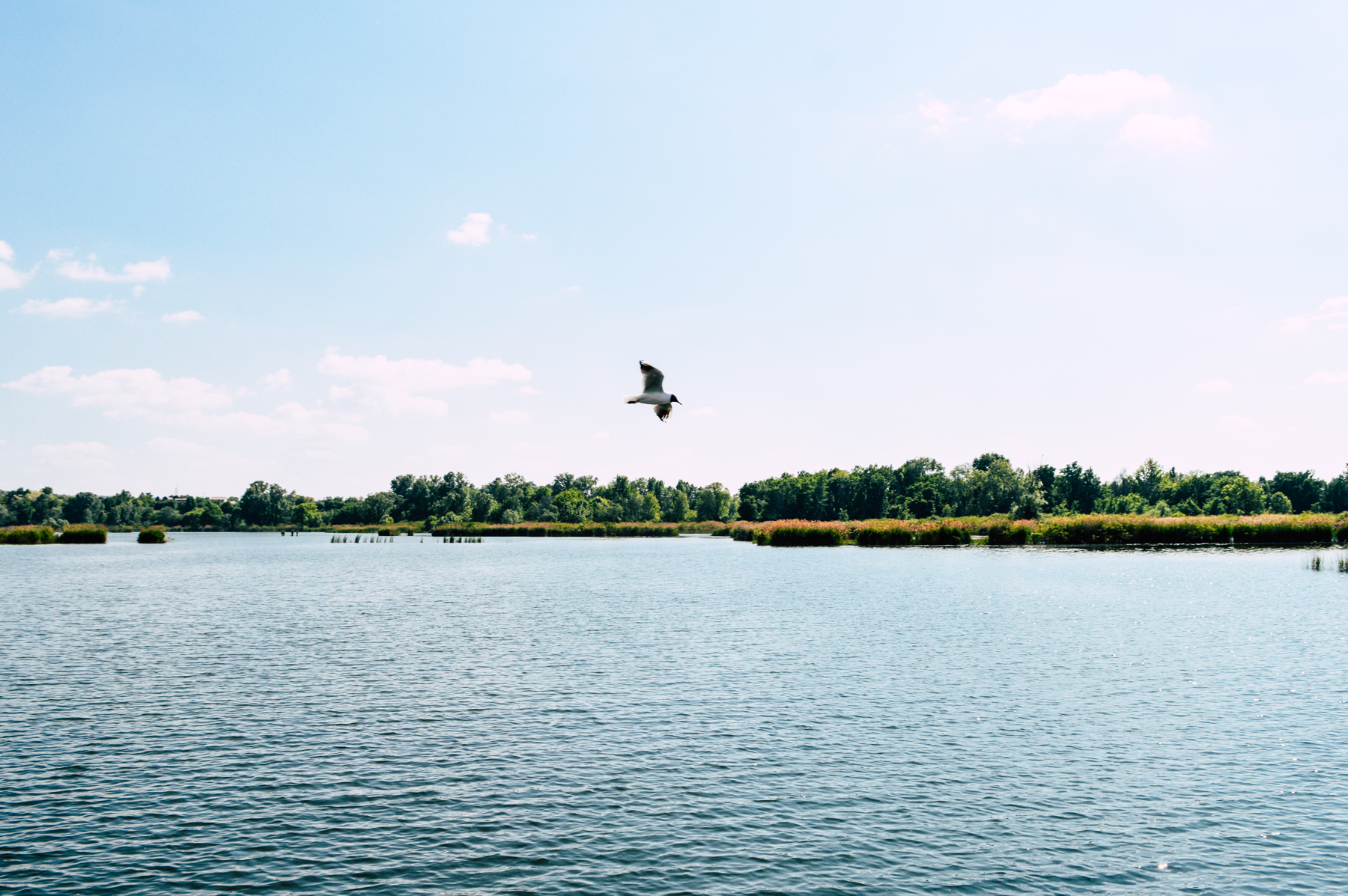 The Wander Playlist - Il Lago d'Iseo e le Torbiere del Sebino | Collater.al