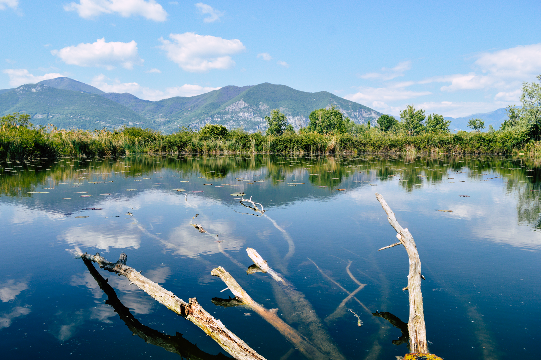 The Wander Playlist - Il Lago d'Iseo e le Torbiere del Sebino | Collater.al