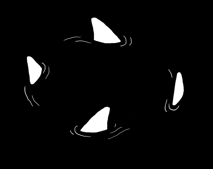 Le divertenti gif dell’illustratrice Lauren Boglio | Collater.al
